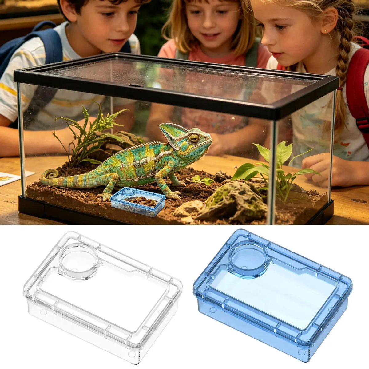 Reptile Food Dish Escape-Proof Reptile Feeder Escape Proof Lizard Feeding Dish for Hermit Crab Frog Spider Chameleon Iguana