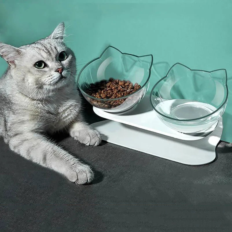 Transparent Tilted Cat Bowl - Splash-Proof Plastic Design