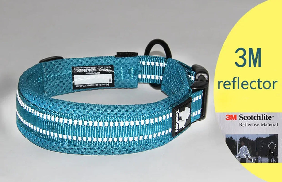 Truelove Reflective Nylon Dog Collar - Adjustable & Padded