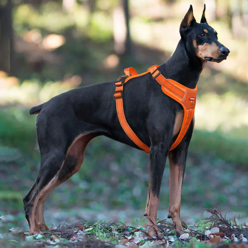 Reflective Tactical Dog Harness for Medium Large Dogs