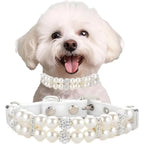 XXS Pearl Dog Collar with Crystal Rhinestones