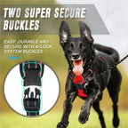 Leather Dog Vest Harness and Accessories Set