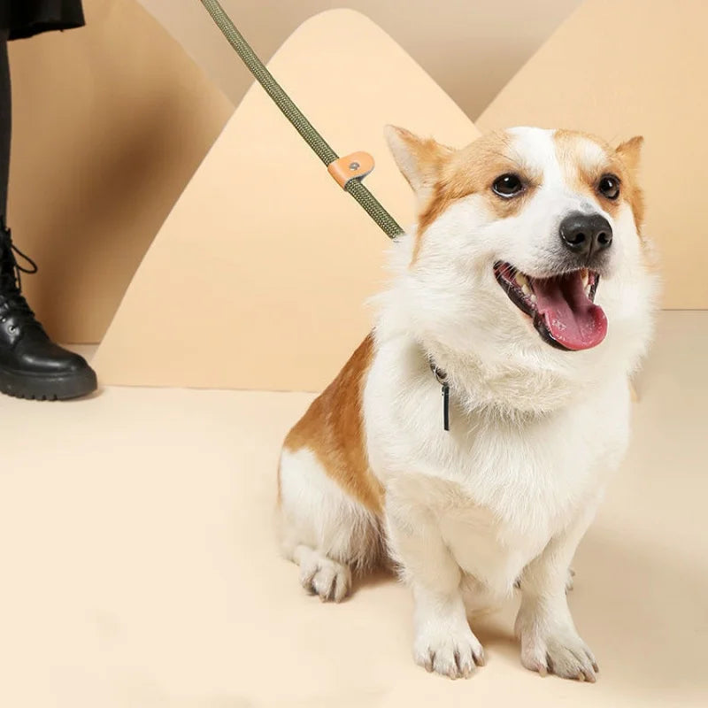 Nylon Adjustable Dog Leash with Collar - All Colors