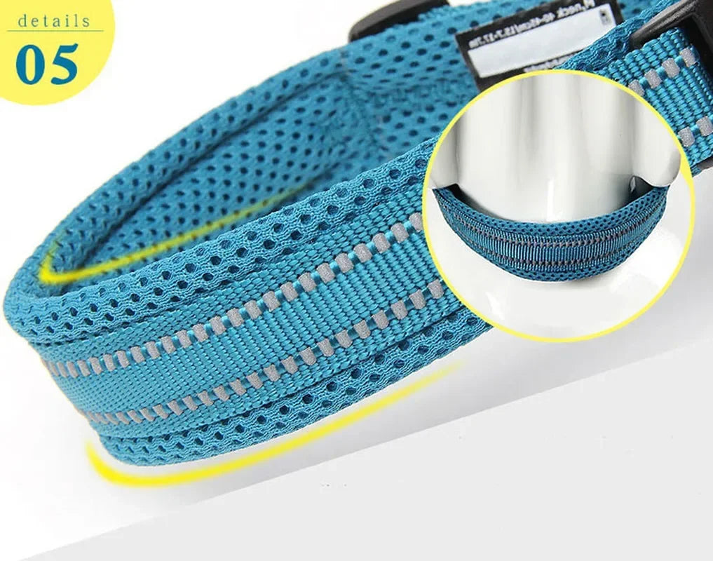 Truelove Reflective Nylon Dog Collar - Adjustable & Padded