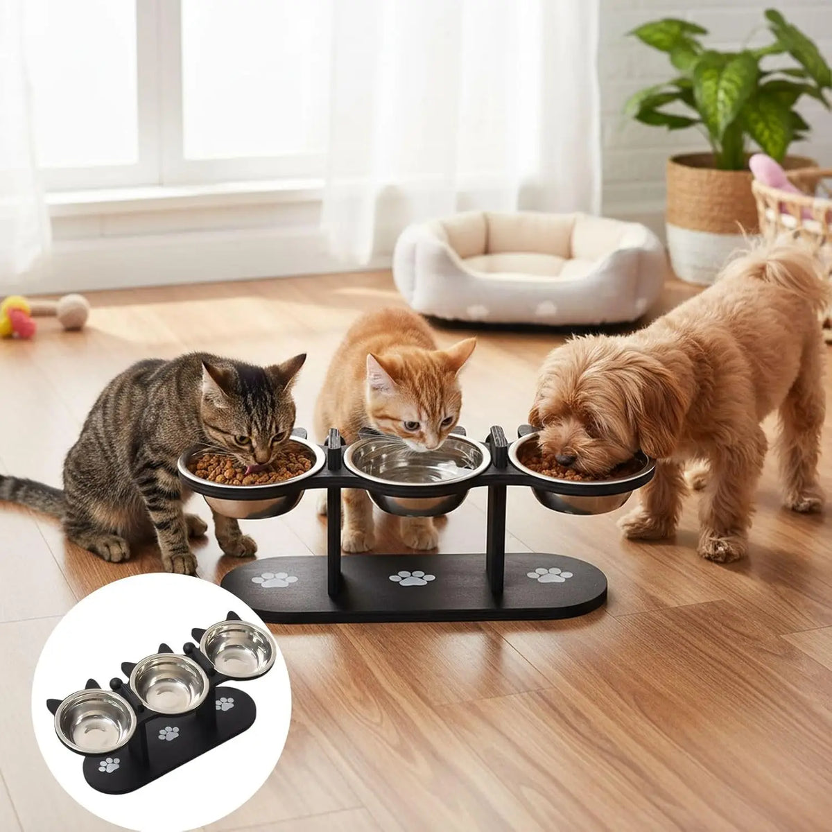 Elevated Cat Bowl with Black Wood Frame & Stainless Steel