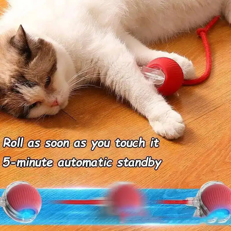 Smart Dog Interactive Ball Toy Rechargeable Electric