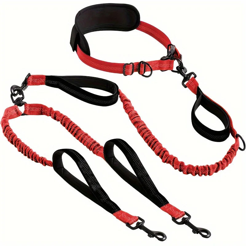 Explosion-Proof Nylon Pet Leash for Dogs - Double Leashes