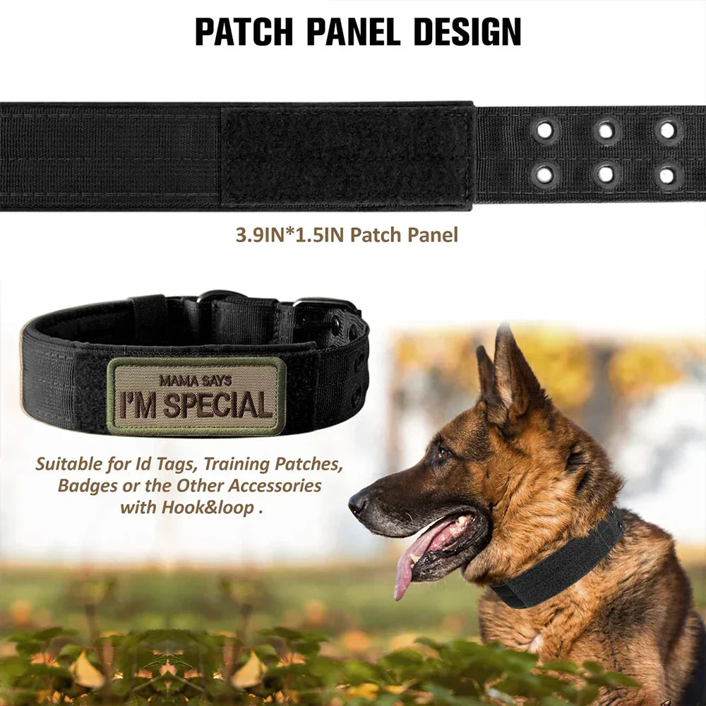 Durable Nylon Tactical Dog Collar for Medium Large Dogs