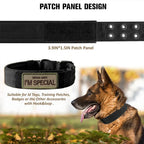 Durable Nylon Tactical Dog Collar for Medium Large Dogs