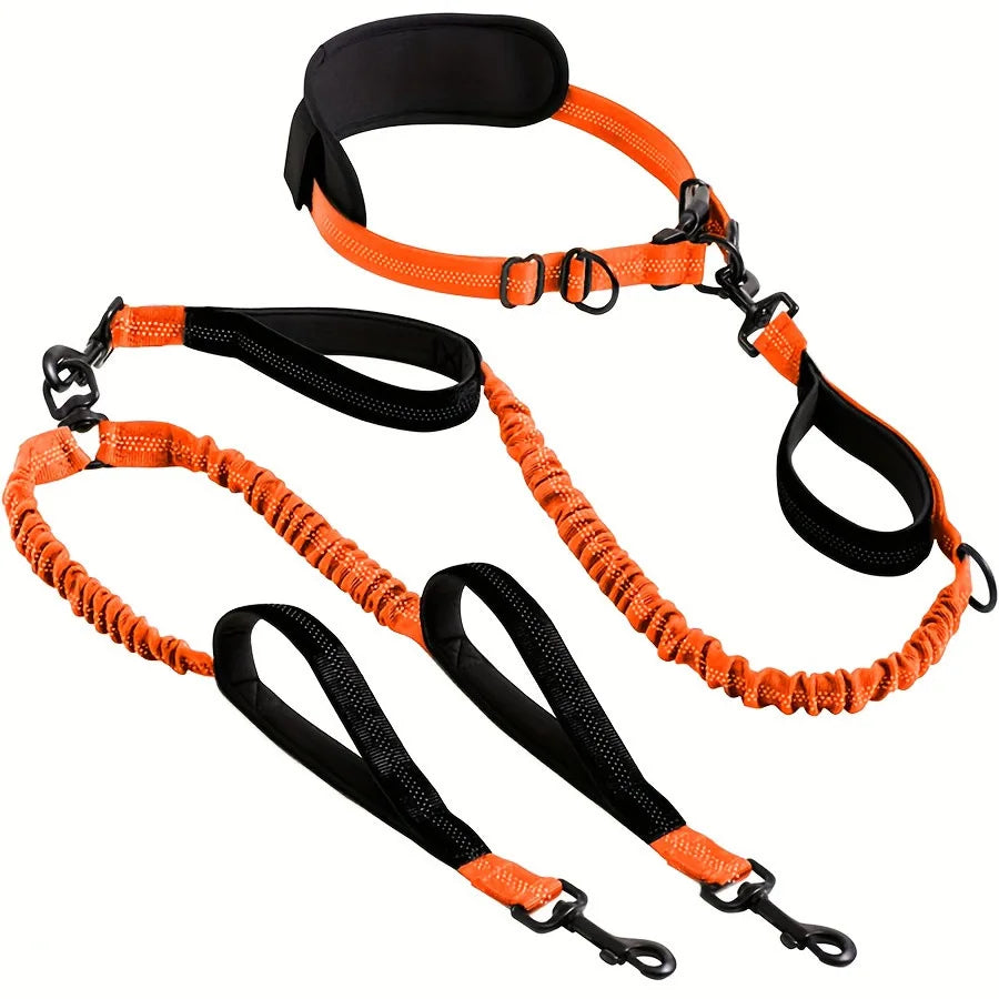 Explosion-Proof Nylon Pet Leash for Dogs - Double Leashes