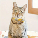 Personalized Nylon Cat Collar with Bell and Engraved Tag