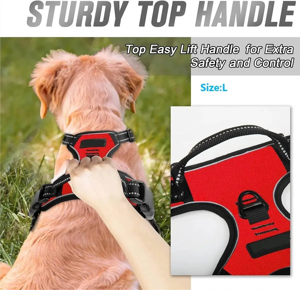 Leather Dog Vest Harness and Accessories Set
