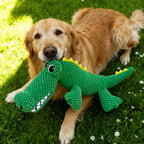Dinosaur Plush Interactive Dog Toy with Sound